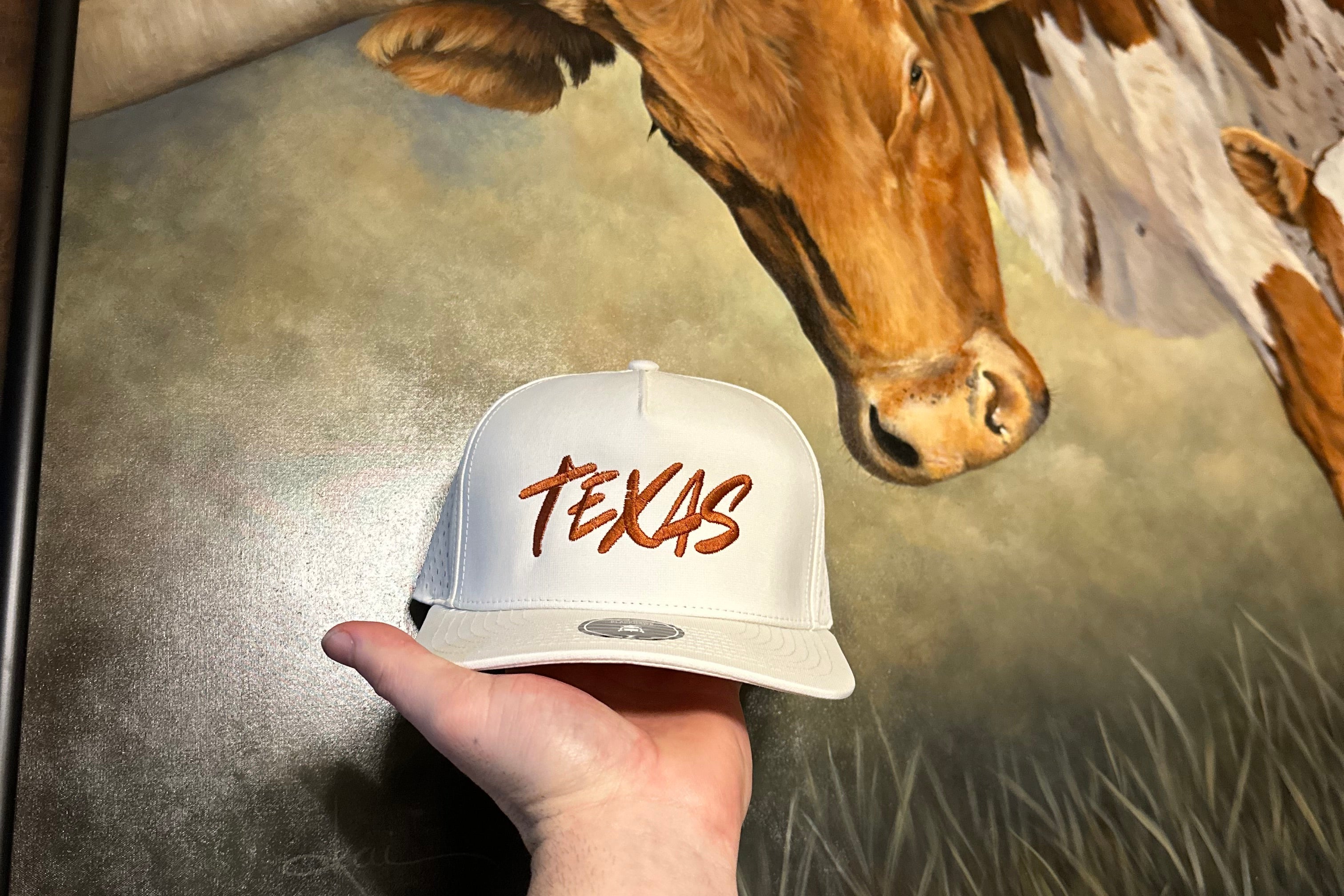 Longhorn Texas Style Trucker Cap